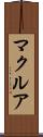 マクルア Scroll