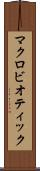 マクロビオティック Scroll