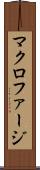 マクロファージ Scroll