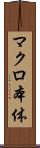 マクロ本体 Scroll