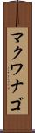 マクワナゴ Scroll