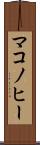 マコノヒー Scroll