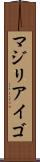 マジリアイゴ Scroll