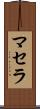 Masella Scroll