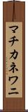 マチカネワニ Scroll
