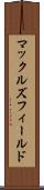 マックルズフィールド Scroll