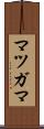 マツガマ Scroll