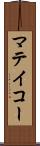 マテイコー Scroll