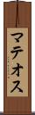 マテオス Scroll