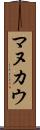 マヌカウ Scroll
