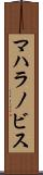 マハラノビス Scroll