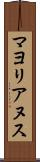 マヨリアヌス Scroll