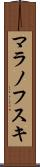 マラノフスキ Scroll