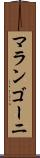 マランゴーニ Scroll