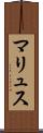 マリュス Scroll