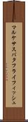 マルケサスバタフライフィッシュ Scroll