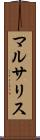マルサリス Scroll