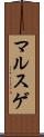 マルスゲ Scroll
