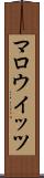 マロウイッツ Scroll