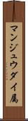 マンジュウダイ属 Scroll