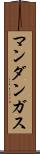マンダンガス Scroll