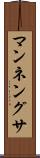 マンネングサ Scroll
