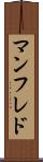 マンフレド Scroll