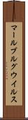 マールブルグウイルス Scroll