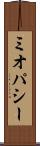 ミオパシー Scroll