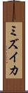 ミズイカ Scroll