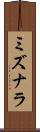 ミズナラ Scroll