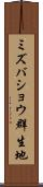 ミズバショウ群生地 Scroll
