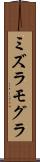 ミズラモグラ Scroll