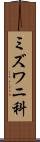 ミズワニ科 Scroll