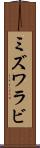 ミズワラビ Scroll