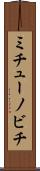 ミチューノビチ Scroll
