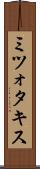 ミツォタキス Scroll