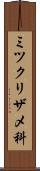 ミツクリザメ科 Scroll