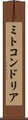 ミトコンドリア Scroll