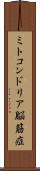 ミトコンドリア脳筋症 Scroll