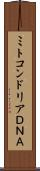 ミトコンドリアＤＮＡ Scroll