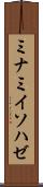 ミナミイソハゼ Scroll