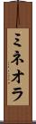 ミネオラ Scroll