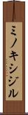ミノキシジル Scroll