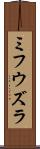 ミフウズラ Scroll