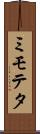 ミモテタ Scroll