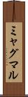 ミャグマル Scroll