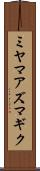 ミヤマアズマギク Scroll