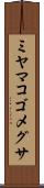 ミヤマコゴメグサ Scroll