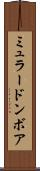 ミュラードンボア Scroll